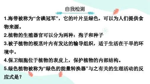 初中生物【人类免疫与健康】知识点总结