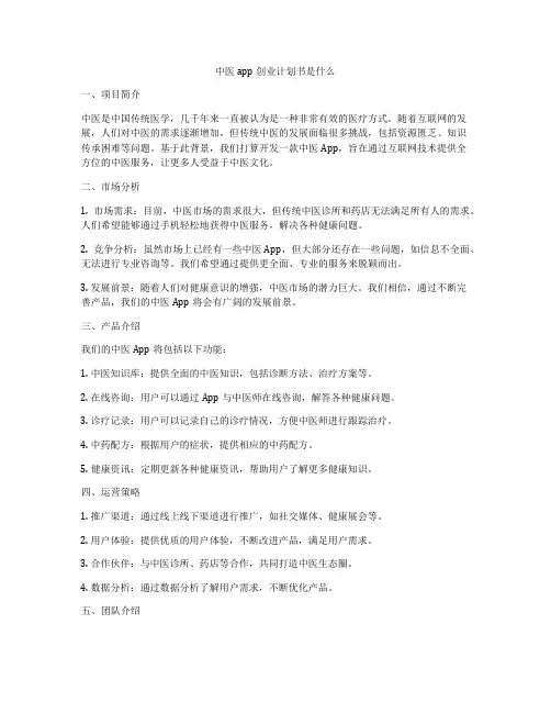 中医app创业计划书是什么