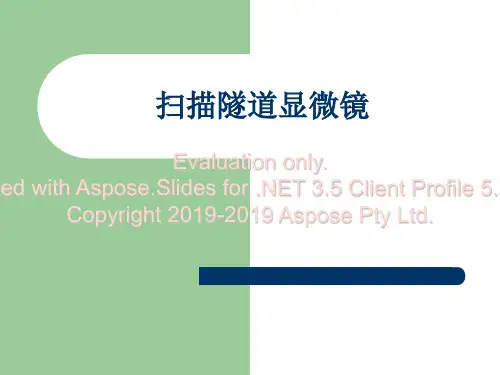 扫描隧道显微镜STM-PPT课件