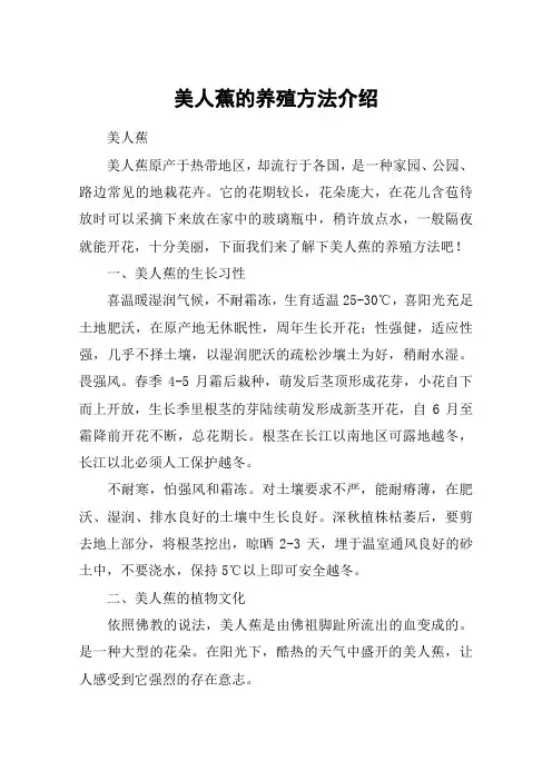 美人蕉的养殖方法介绍