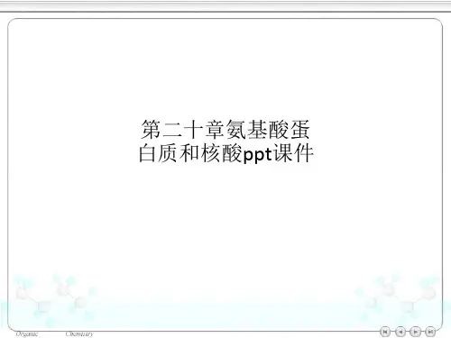 第二十章氨基酸蛋白质和核酸ppt课件