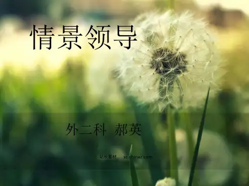 情景领导培训教材