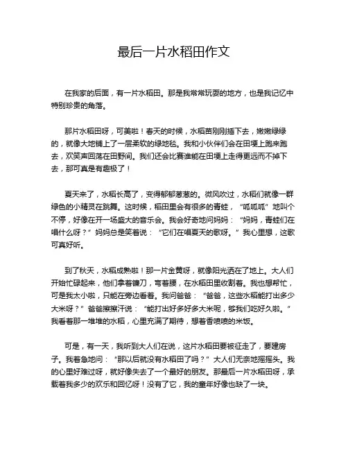 最后一片水稻田作文