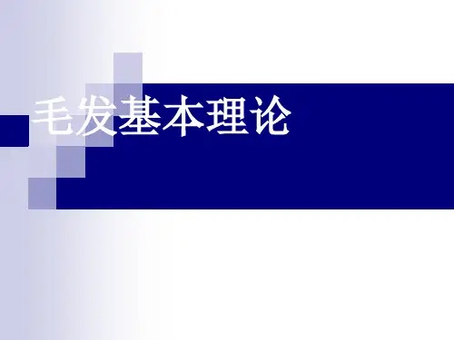毛发生理学
