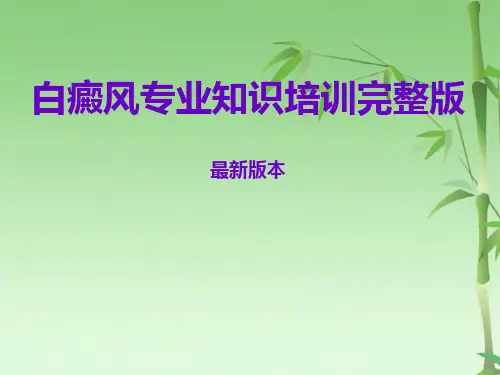 白癜风专业知识(共58张PPT)