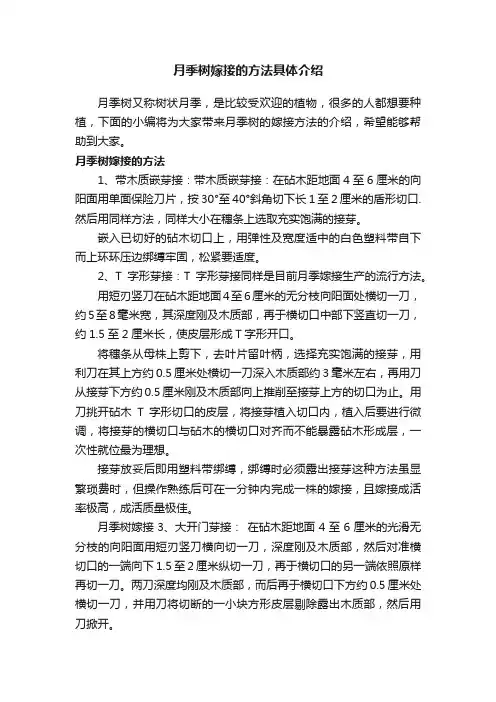月季树嫁接的方法具体介绍
