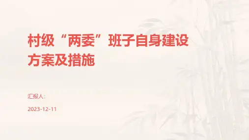 村级“两委”班子自身建设方案及措施