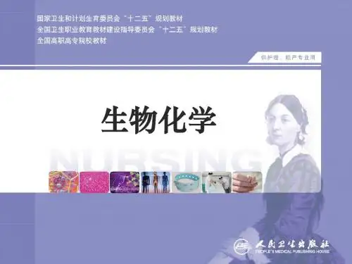 肽链的合成——核糖体循环三