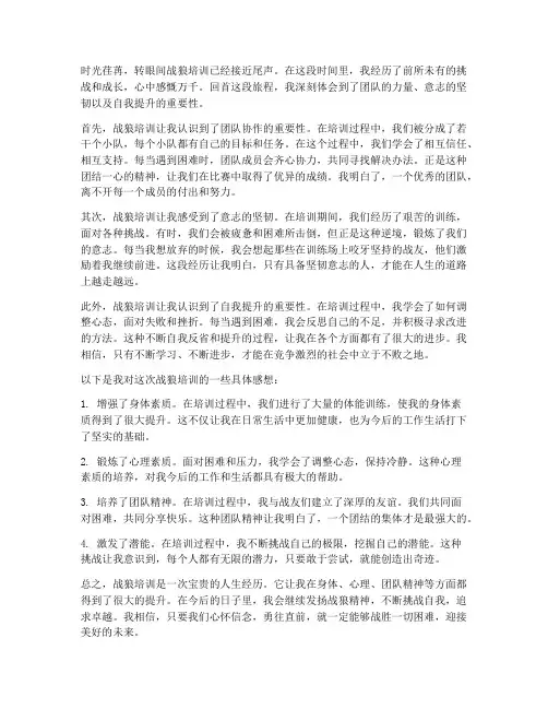 战狼培训的感想