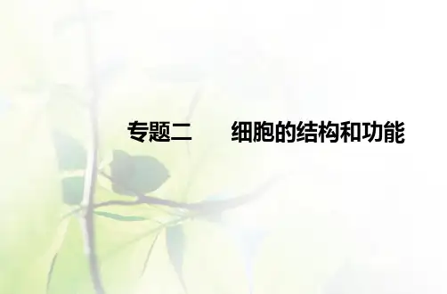 高中生物学业水平合格性考试复习专题二细胞的结构和功能课件