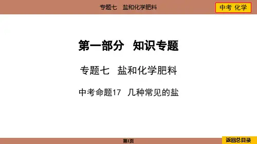 2024年中考化学总复习专题七盐和化学肥料中考命题17几种常见的盐