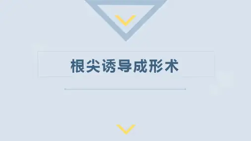 根尖诱导成形术-课件