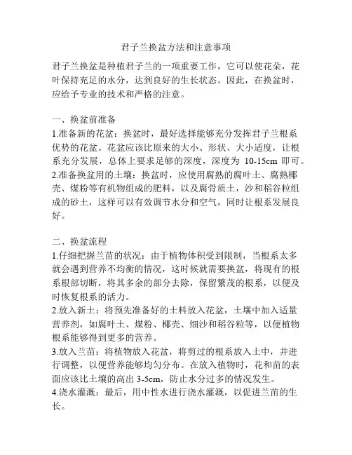 君子兰换盆方法和注意事项