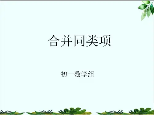 人教版七年级上册合并同类项精品课件PPT