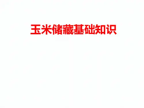 玉米储藏基本知识