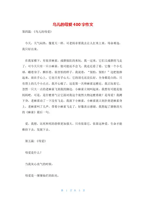 鸟儿的母爱400字作文