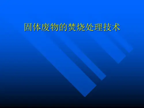 固体废物的焚烧处理技术课件