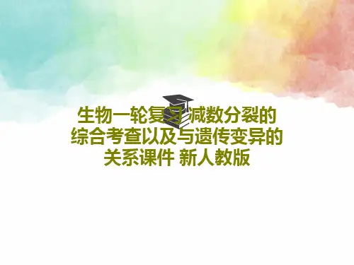 生物一轮复习 减数分裂的综合考查以及与遗传变异的关系课件 新人教版40页PPT