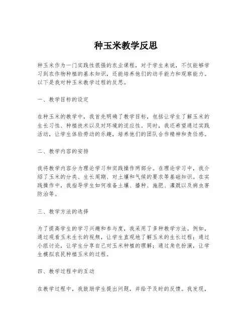 种玉米教学反思
