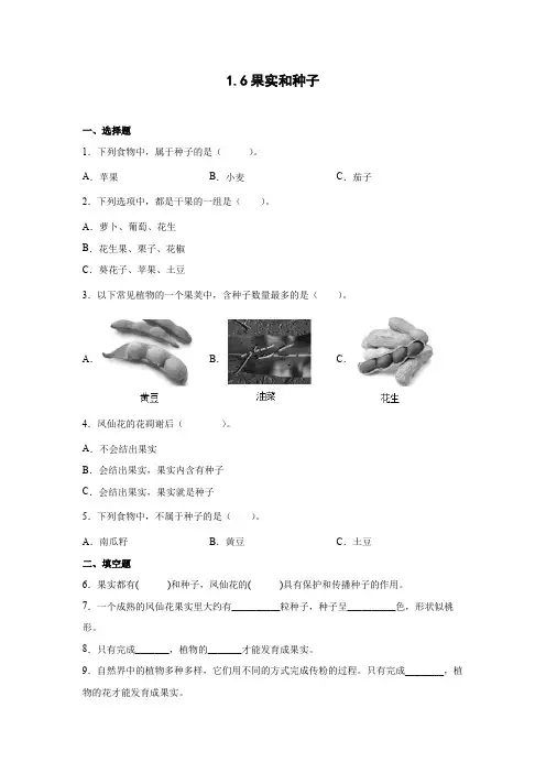 教科版(2017秋)四年级科学下册1-6果实和种子 同步练习(含答案)