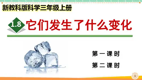 新教科版科学三年级上册《它们发生了什么变化》优质课件