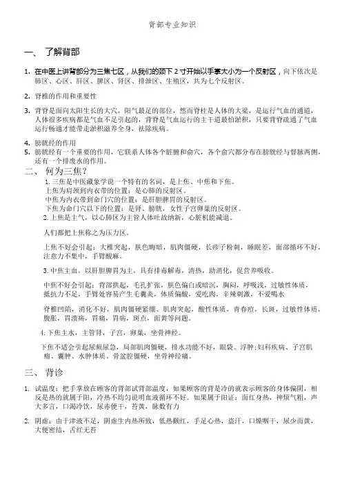 背部专业知识