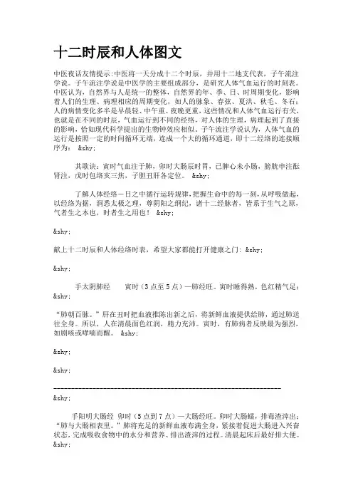 十二时辰和人体图文