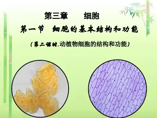 北师大版生物七年级上册3章1节细胞的基本结构和功能二课时精品课件全文