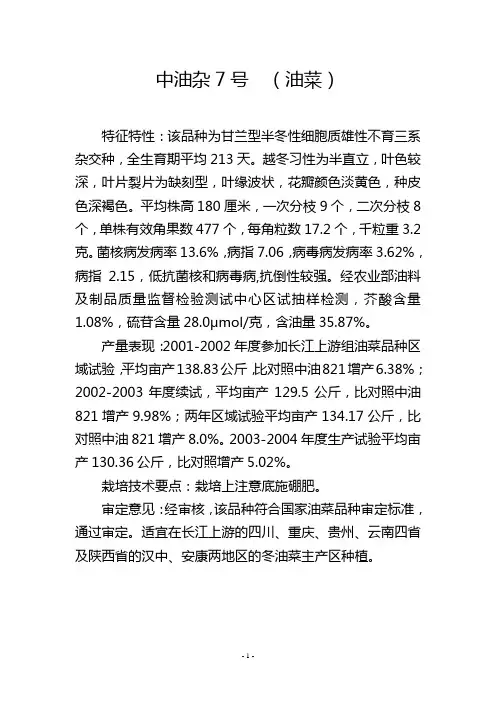 中油杂7号 (油菜)