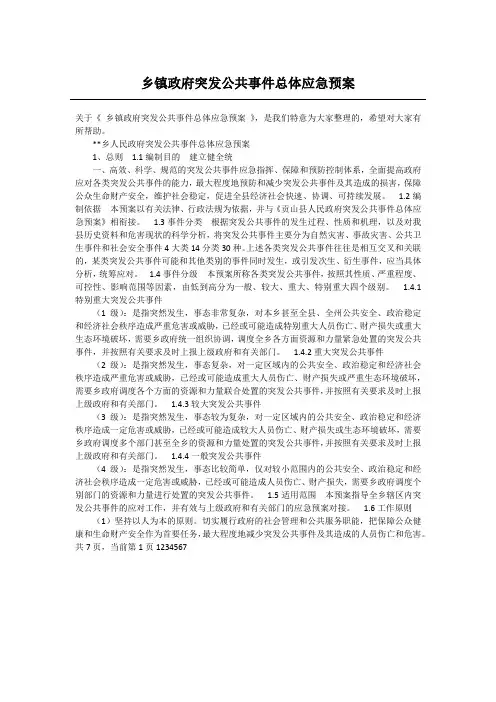 乡镇政府突发公共事件总体应急预案