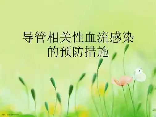 导管相关性血流感染的预防措施