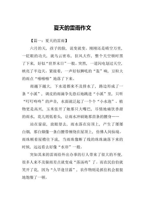 夏天的雷雨作文-1