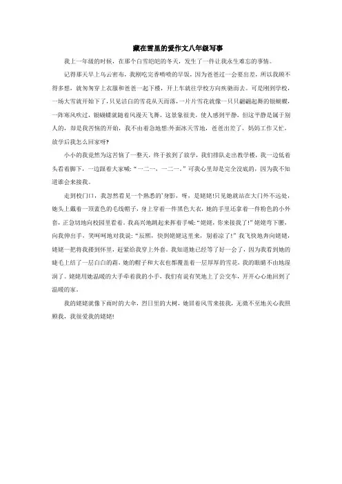 藏在雪里的爱作文八年级写事