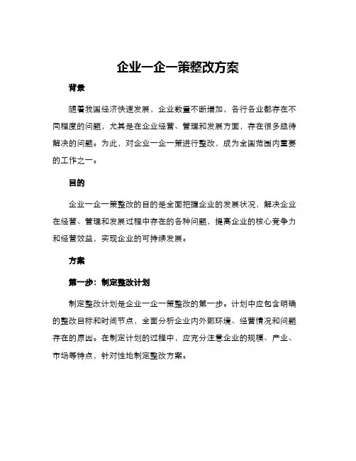 企业一企一策整改方案