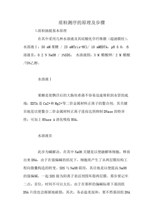 质粒测序的原理及步骤