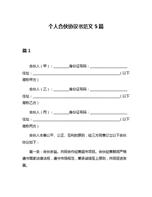 个人合伙协议书范文5篇