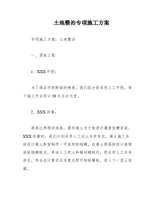 土地整治专项施工方案