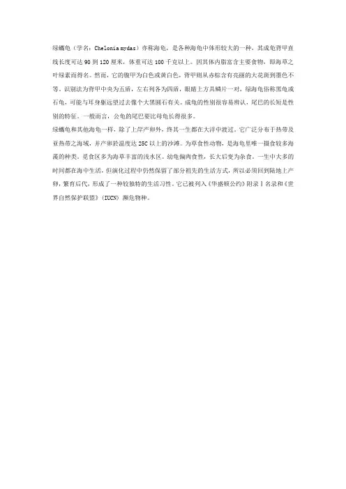 绿蠵龟