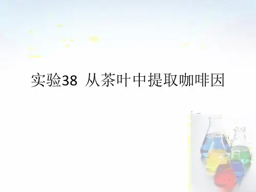从茶叶中提取咖啡因