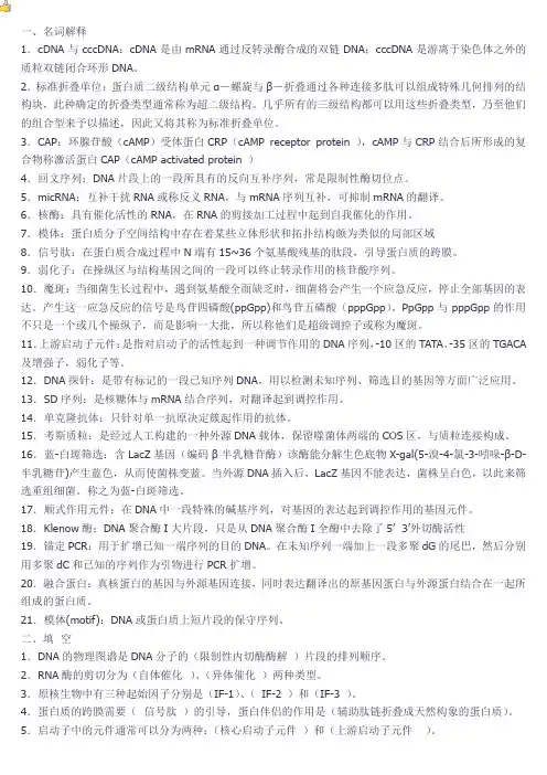 分子生物学试题及答案