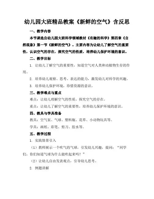 幼儿园大班精品教案《新鲜的空气》含反思