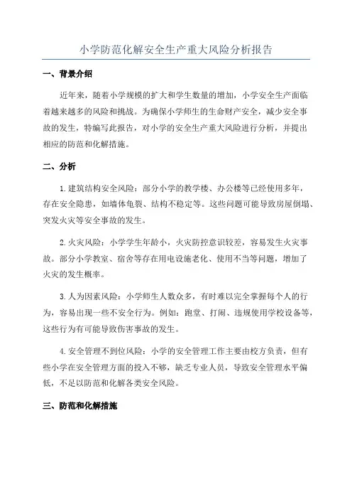 小学防范化解安全生产重大风险分析报告