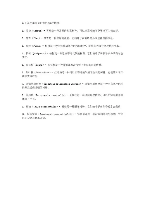 冬季里最耐寒的10种植物有哪些