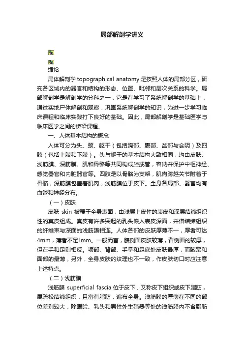 局部解剖学讲义
