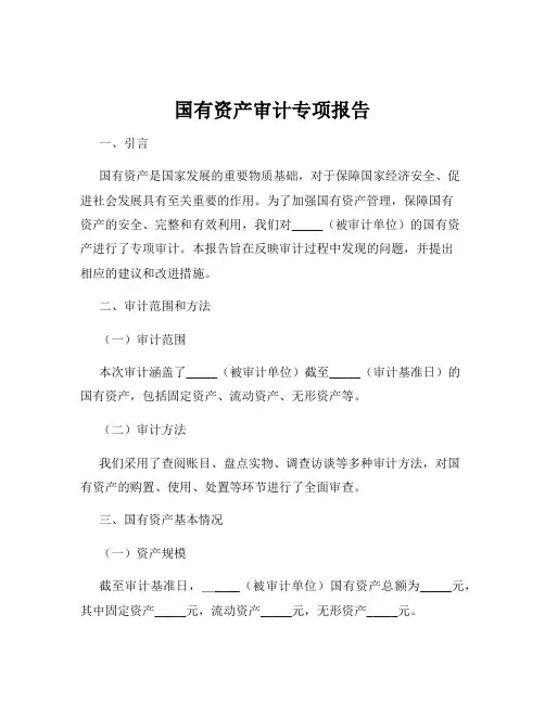 国有资产审计专项报告