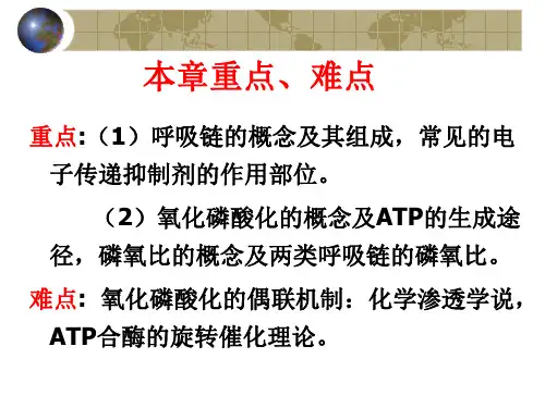 第八章电子传递与氧化磷酸化ppt课件