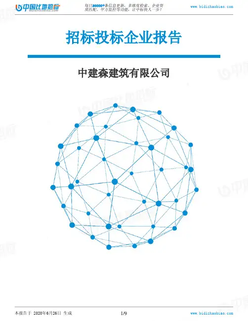 中建森建筑有限公司-招投标数据分析报告