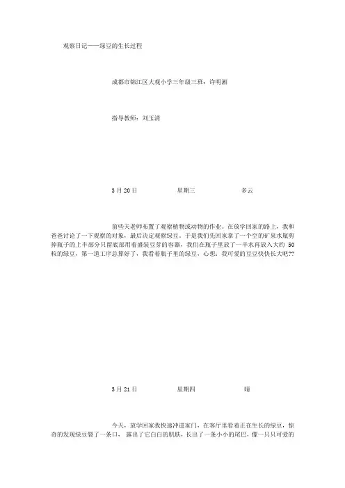 许明湘 绿豆的生长过程观察日记五则 [1500字]