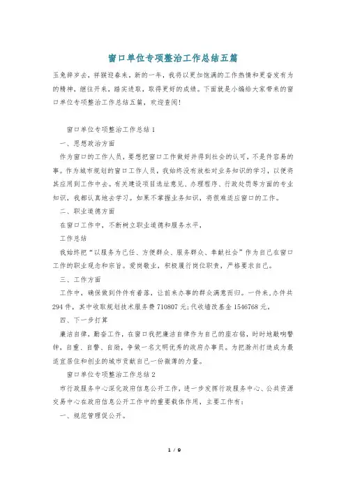 窗口单位专项整治工作总结五篇