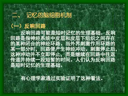 普通心理学(北师大精品课程)25 记忆的脑细胞机制